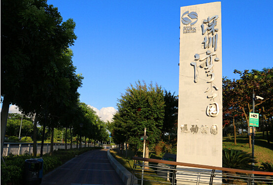奥特迅望海路充电站位于深圳湾公园-运动公园对面.jpg 奥特迅望海路充电站位于深圳湾公园-运动公园对面.jpg