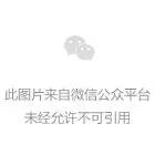 集约式柔性公共充电站:破解电动汽车充电难的 集约式柔性公共充电站:破解电动汽车充电难的